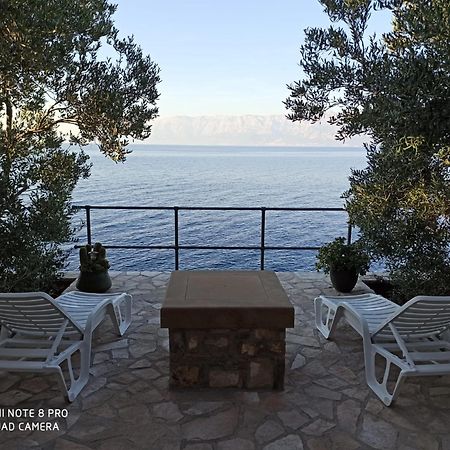 Villa House Jurasovic à Gdinj Extérieur photo